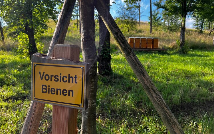 Bees in The Circle:
six times around the world for 150 kilograms of honey