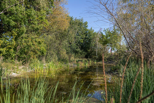 Ranger tours in the airport park – experience biodiversity at the airport