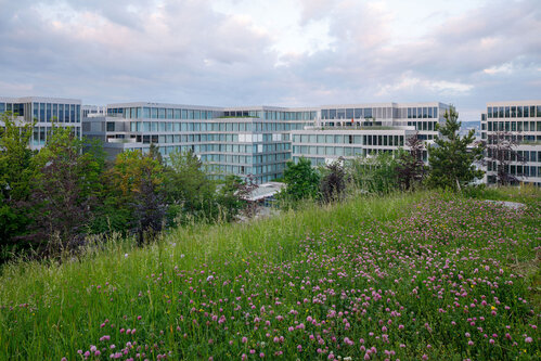Ranger tours in the airport park – experience biodiversity at the airport