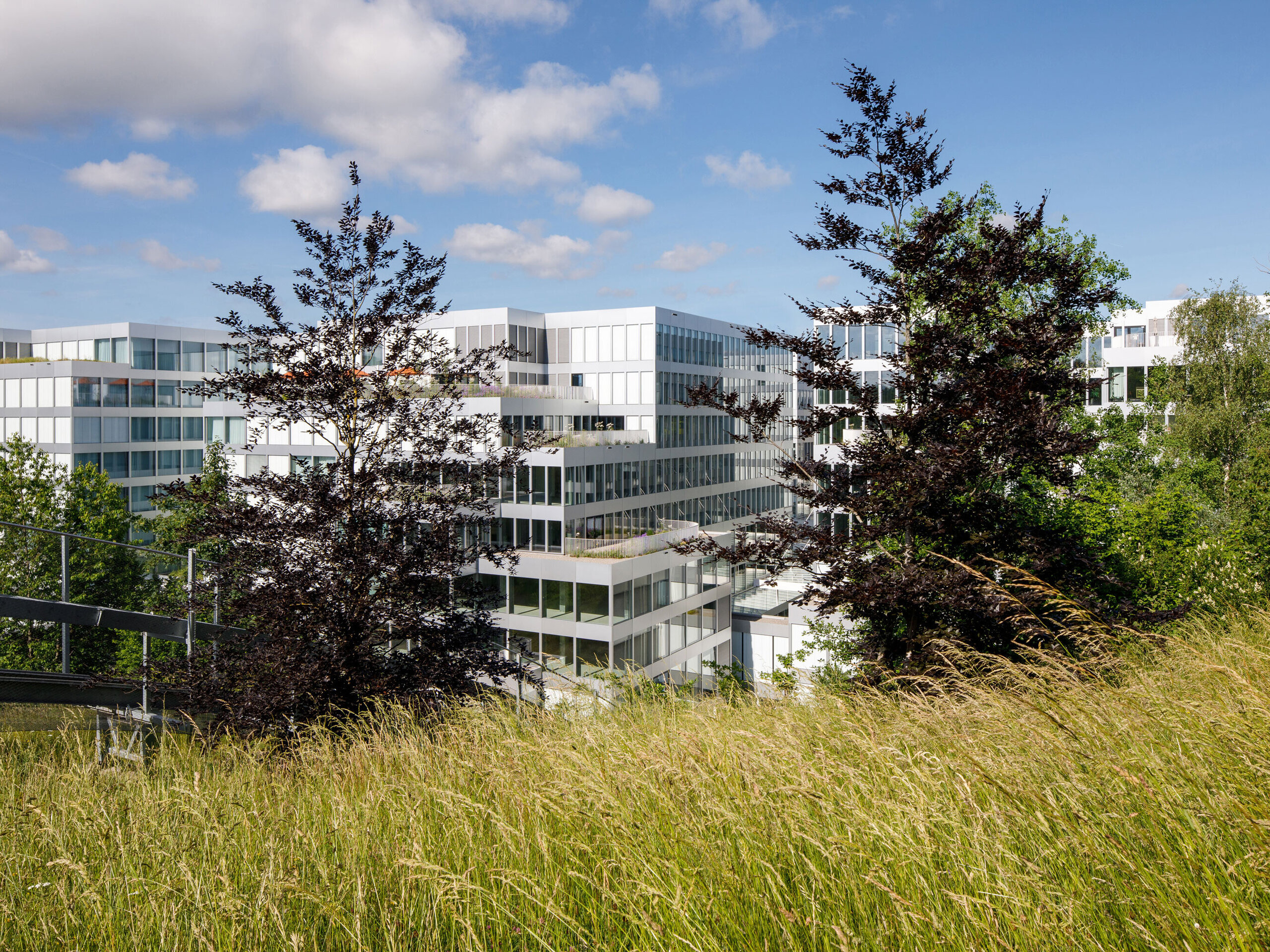 Park at the Circle – connect with nature