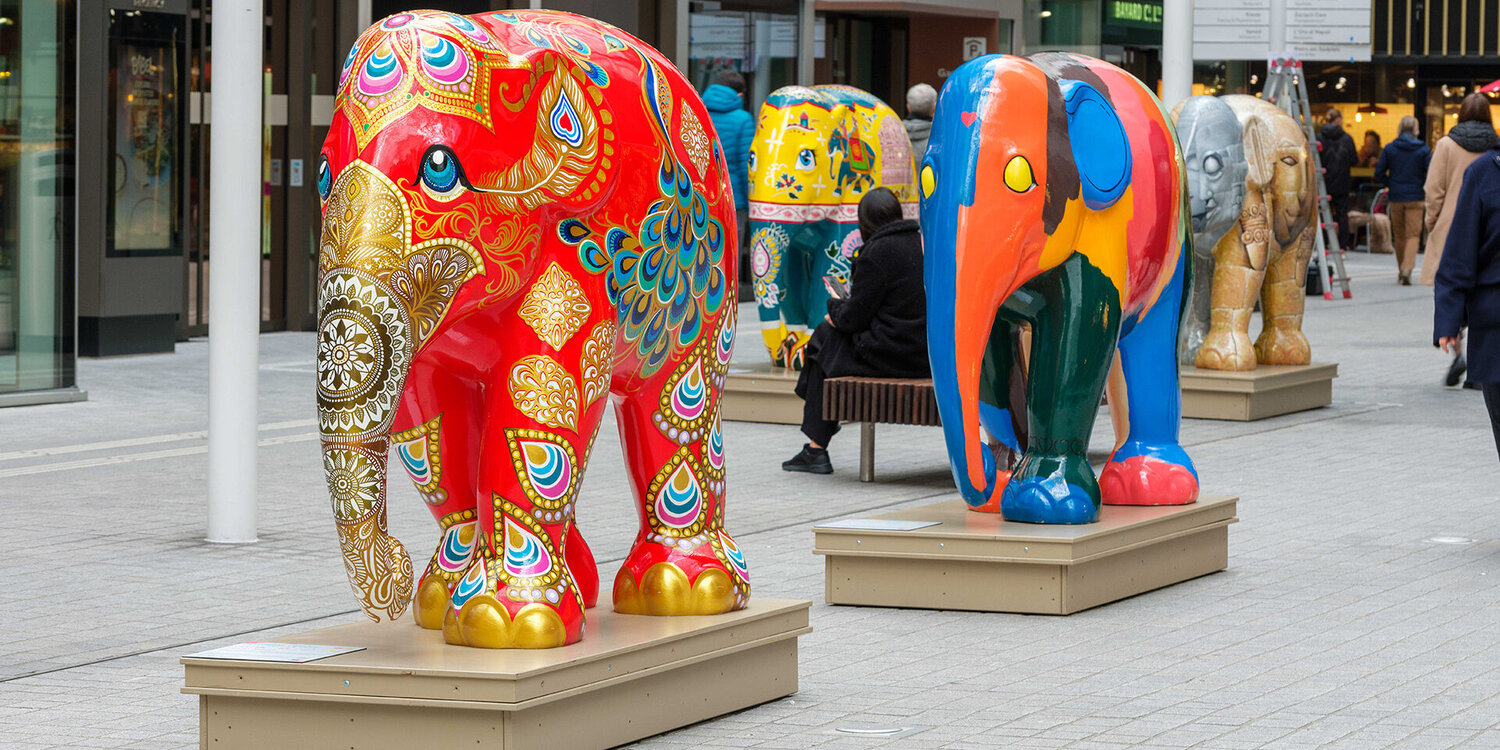 Colourful herd of elephants visiting the Circle